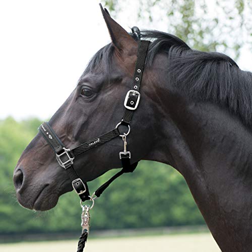 CALEVO - Stallhalfter Classic Diamond CALEVO - Stallhalfter Classic Diamond von CALEVO