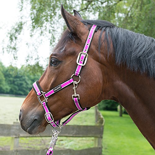 CALEVO - Stallhalfter Stripes CALEVO - Stallhalfter Stripes von CALEVO