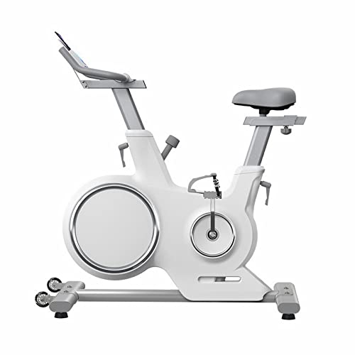 Heimtrainer Spinning Haushaltsmagnetron Ultra-leises Indoor-Cycling-Fahrrad Heimtrainer Home Cardio Workout Training Stationär B von CCKUYT