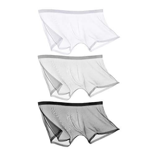 CEAeis Ice Silk Sexy Mesh Volltransparente Boxershorts, atmungsaktive, durchsichtige, Hohle Slips für Männer (3pcs-A,M) von CEAeis