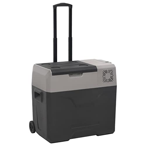 Furniture Select Kühlbox mit Rad und Griff, 50 l, Polypropylen, Schwarz / Grau von CFODOJ