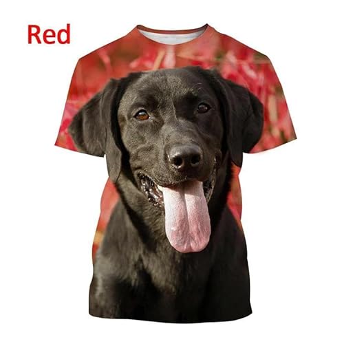 CHANYI Herren 3D Druck T-Shirt Labrador Retriever 3D-Gedrucktes T-Shirt Sommermode Haustier Hund Männer Und Frauen Paar Lässiges Kurzarm-T-Shirt Spitze von CHANYI