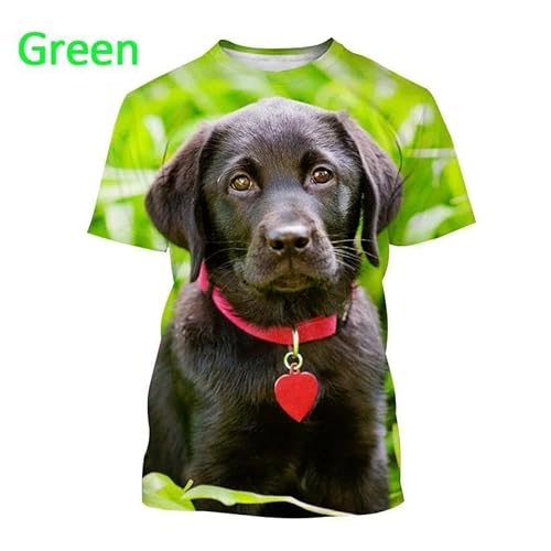 CHANYI Herren 3D Druck T-Shirt Labrador Retriever 3D-Gedrucktes T-Shirt Sommermode Haustier Hund Männer Und Frauen Paar Lässiges Kurzarm-T-Shirt Spitze von CHANYI