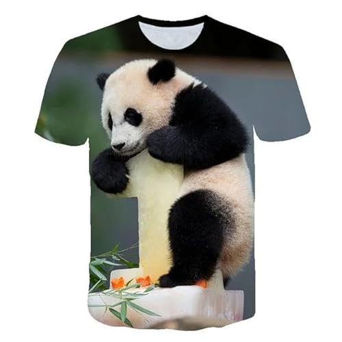 CHANYI Herren 3D Druck T-Shirt Männer Sommer 3D Tier Katze Tiger T Shirt Drucken Coole Lustige Tops O Hals Kurzarm Mode Männlichen Frauen 3D Gedruckt T-Shirts von CHANYI