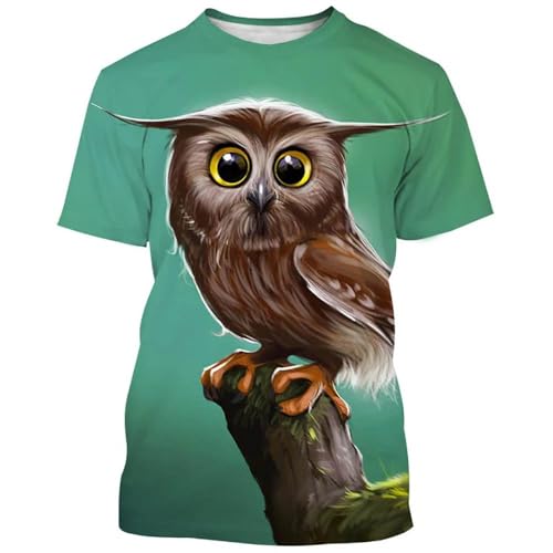 CHANYI Herren 3D Druck T-Shirt Mode Sommer Eule Druck Cool Polyester Lose 3D Kurzarm Männer Top T-Shirt Casual Übergroße Größe Große Silhouette Kleidung von CHANYI