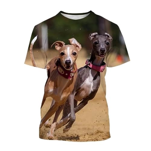 CHANYI Herren 3D Druck T-Shirt Mode Tier Windhund 3D Druck T-Shirt Männer Und Frauen Sommer Casual Kurzarm Rundhals Hund Shirt Oberteile von CHANYI