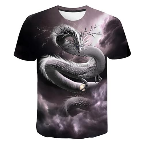 CHANYI Herren 3D Druck T-Shirt Sommer Männer 3D Gedruckt Drachen Muster T-Shirt Casual Sport Mode O Kragen Kurzarm Original Spaß Lose Plus Größe Spitze von CHANYI