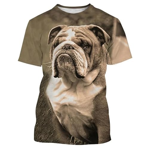 CHANYI Herren 3D Druck T-Shirt Sommer Männer 3D Gedruckt Nette Haustier Tier Französisch Bulldog Grafiken Casual O Kragen Kurzarm Spaß Straße Große Größe Lose Spitze von CHANYI