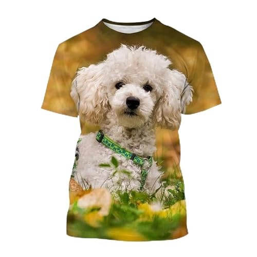 CHANYI Herren 3D Druck T-Shirt Sommer Unisex 3D Animal Print T-Shirt Herrenmode Stretch T-Shirt Casual Kurzarm Pudel Shirt Spitze von CHANYI