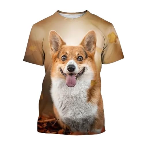 CHANYI Herren 3D Druck T-Shirt Sommer Unisex Tiermode Niedlicher Hund Corgi 3D-Druck Lustiges Lässiges Rundhals-Kurzarm-Stretch-T-Shirt von CHANYI