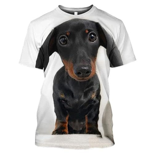 CHANYI Herren 3D Druck T-Shirt Tier Hund 3D Gedruckt Sommer Männer T-Shirt Hip Hop Mode Kurzarm Straße O Hals Schnell Trocknend Große Größe Top von CHANYI