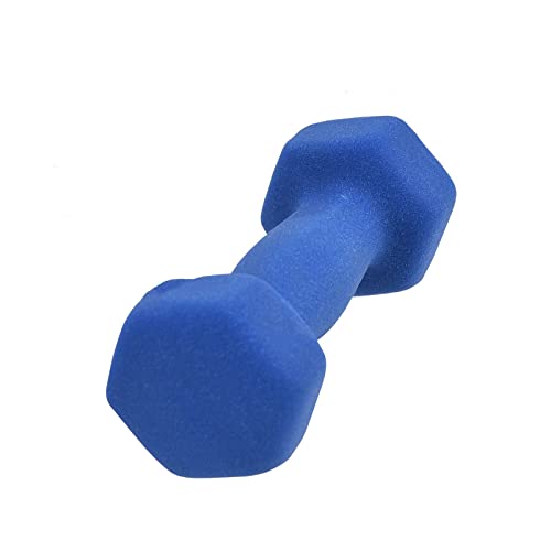 CHDWEY Hanteln Matte Dumbbells Rack Stands Dumbbells Holder Weightlifting Home Fitness Equipment Weights Hand weights Slimming Dumbbell(Blue) von CHDWEY