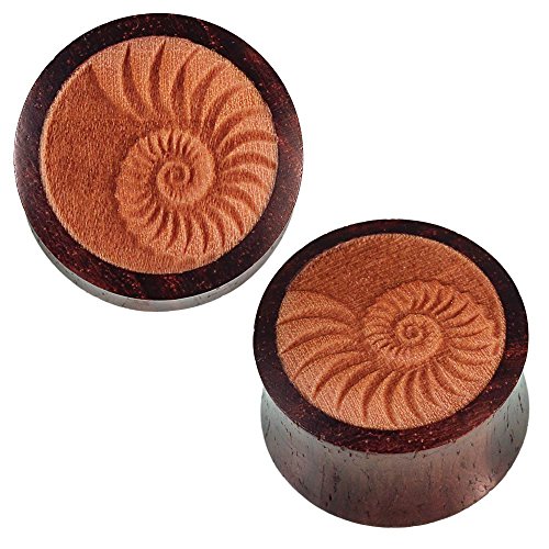 Chic-Net Handgeschnitzt Holz Plug braun dunkel Fossil Schnecken Muschel Inlay Tunnel Expander 12 mm von CHICNET