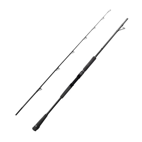 Angelrute, Angeln Jigging Stange Köder 80-250g 20-50Lb Salzwasser Ultraleicht Carbon Tune Angelrute,Für viele Gewässer geeignet von CHURICH-E