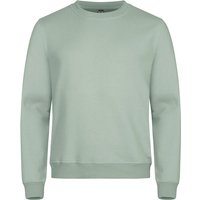 CLIQUE Miami Roundneck Sweatshirt 615 - sage green XXL CLIQUE Miami Roundneck Sweatshirt 615 - sage green XXL von CLIQUE