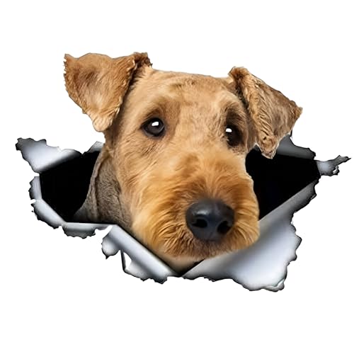 Autoaufkleber 25cm(9.8 Inch) Airedale Terrier Aufkleber Lustig Airedale Terrier Car Sticker Braun Airedale Terrier Hund Wasserdichte Aufkleber Personalisieren 3D Zerrissen Reflektierende Aufkleber von CLOIE