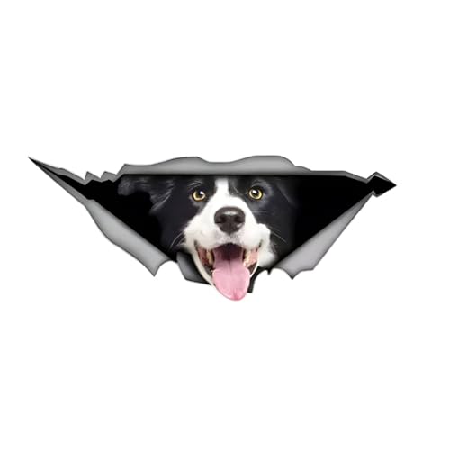 Autoaufkleber 25cm(9.8 Inch) Border Collie Aufkleber Border Collie Car Sticker Haustier Hund wasserdichte Aufkleber 3D Zerrissen Metall Reflektierende Aufkleber Dekorative von CLOIE