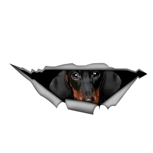 Autoaufkleber 25cm(9.8 Inch) Dackel Aufkleber Lustig Dachshund Car Sticker Personalisieren Haustier Hund Wasserdichte Aufkleber 3D Zerrissen Metall Reflektierende Aufkleber Stoßstange Lustig Dekor von CLOIE