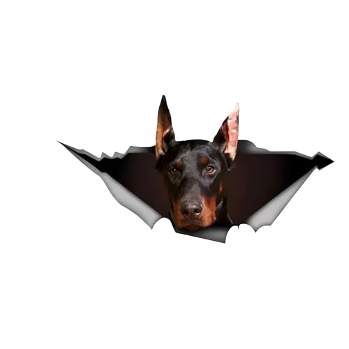 Autoaufkleber Dobermann Aufkleber 15cm(5.9 Inch) Dobermann Reflektierende Aufkleber Dobermann 3D Zerrissen Autoaufkleber Haustier Hund Personalisieren Lustig Aufkleber Laptop Autofenster Lustig Dekor von CLOIE