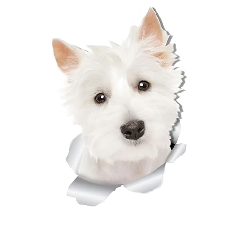 Autoaufkleber West Highland White Terrier Aufkleber 15cm(5.9 Inch) West Highland White Terrier Car Sticker 3D Zerrissen Aufkleber Personalisiert Haustier Hund Reflektierende Aufkleber für Laptop Dekor von CLOIE