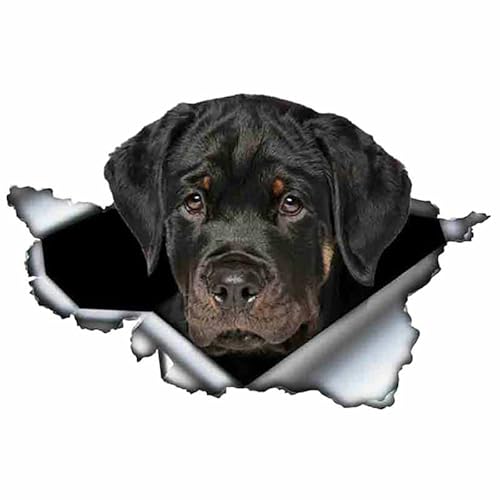 CLOIE S50471# Verschiedene Größen Persönlichkeit PVC Aufkleber Rottweiler Hund V1 wasserdichte Auto Aufkleber auf Motorrad Laptop Dekorative von CLOIE