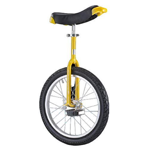 Einräder für Erwachsene mit 20-Zoll-/24-Zoll-Rädern – für schwere Lasten/große Menschen (bis 150 kg), selbstbalancierendes 16-Zoll-/18-Zoll-Fahrrad für große Kinder – einfach zusammenzubauen (Farbe: von CQLXZ