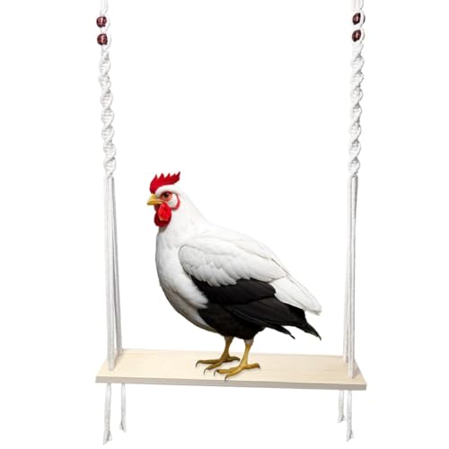 CYBUCH Hühnerschaukel-Spielzeug für Großen Hühnerstall, Hühner-Anreicherungsspielzeug für Hühner und Hähne, Hühnerstall-Zubehör Aus von CYBUCH
