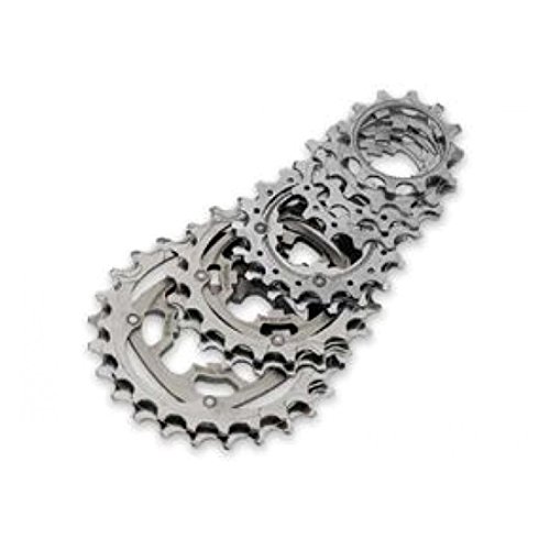 Campagnolo Kettenrad-2656020002 Kettenrad, Silber, 80x35x1 von Campagnolo