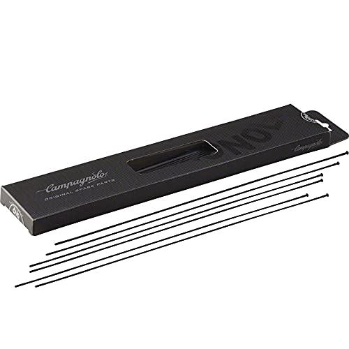 Campagnolo Zonda Mini-Speichen-Set, Schwarz Campagnolo Zonda Mini-Speichen-Set, Schwarz von Campagnolo