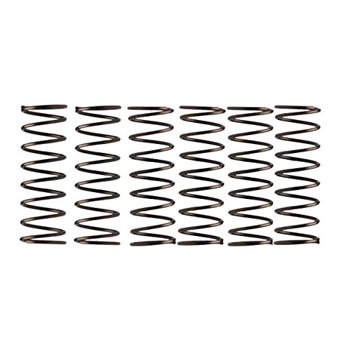Campagnolo componentry Ersatzteile Hubs Pawl Spring, 6-fh-re014–6 Stück Campagnolo componentry Ersatzteile Hubs Pawl Spring, 6-fh-re014–6 Stück von Campagnolo