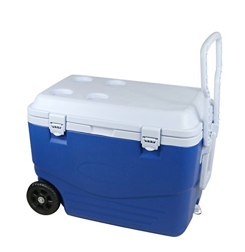 CAO 463 Kühlbox Unisex Erwachsene, Blau/Weiß CAO 463 Kühlbox Unisex Erwachsene, Blau/Weiß von Cao