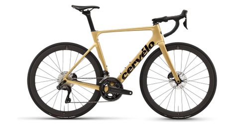 cervelo soloist rennrad shimano ultegra di2 12s 700 mm gold dust 2024 cervelo soloist rennrad shimano ultegra di2 12s 700 mm gold dust 2024 von Cervelo