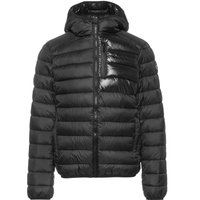 CHAMPION Legacy Steppjacke Herren CHAMPION Legacy Steppjacke Herren von Champion