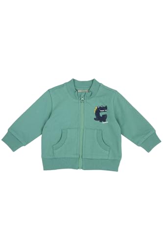 Chicco, Sweatshirt für Neugeborene, mit Praktischem Reißverschluss, aus Weicher Baumwolle, Italienisches Design, Babykleidung 0-24 Monate, Mittelgrün, 18 Monate Chicco, Sweatshirt für Neugeborene, mit Praktischem Reißverschluss, aus Weicher Baumwolle, Italienisches Design, Babykleidung 0-24 Monate, Mittelgrün, 18 Monate von Chicco