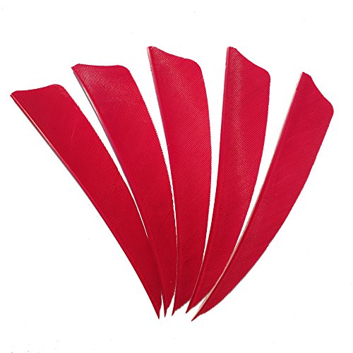 SHARROW 50 Stück Bogenschießen Pfeilfedern Naturfedern für Pfeile 4 Zoll Shield Cut Fletches Fletching Vanes (Rot) von SHARROW