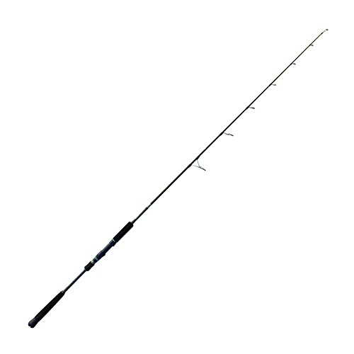 Cinnetic CAÑA CINERGY Classic Jigging 1,80 m von Cinnetic