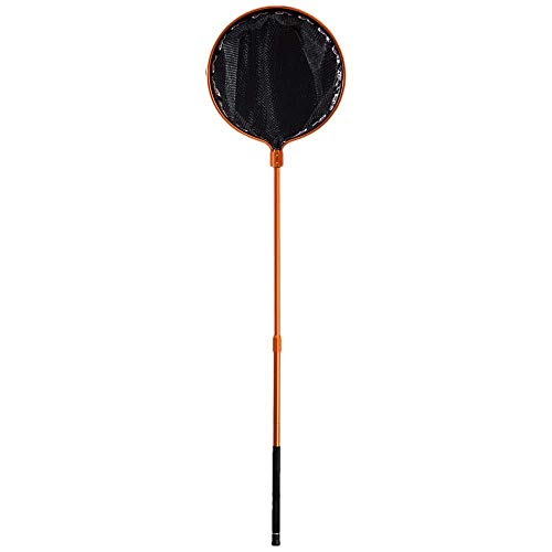 Tele Atlantic Landing NET 2,20 Tele Atlantic Landing NET 2,20 von Cinnetic