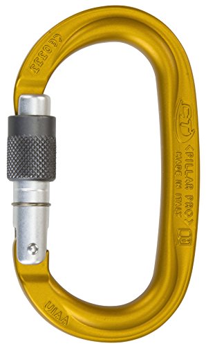 Climbing Technology Pillar Pro SG 2 C39600ydbctstd Karabinerhaken, gelb/grau, Einheitsgröße von Climbing Technology