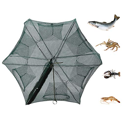 Fischreuse Köder Fisch Reuse Aalreuse, Reusen für Fischfang, Fischernetz Fischen 6 Löcher, Faltbare Köderfischreuse Nylon Reusen für Fischfang Groß Fischreuse Köder Fisch Reuse Aalreuse, Reusen für Fischfang, Fischernetz Fischen 6 Löcher, Faltbare Köderfischreuse Nylon Reusen für Fischfang Groß von Cocoarm
