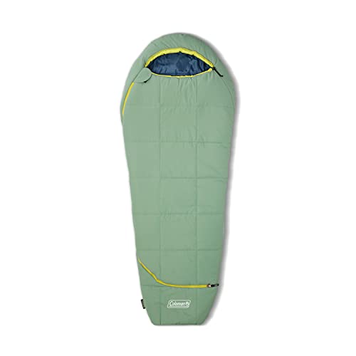 Coleman Unisex-Erwachsene Big Bay Sleeping Bag Schlafsäcke, Enthält PFAS, Contains Coleman Unisex-Erwachsene Big Bay Sleeping Bag Schlafsäcke, Enthält PFAS, Contains von Coleman