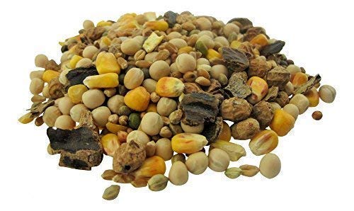 CommonBaits Big CARP Partikel Mix 2,5Kg CommonBaits Big CARP Partikel Mix 2,5Kg von CommonBaits