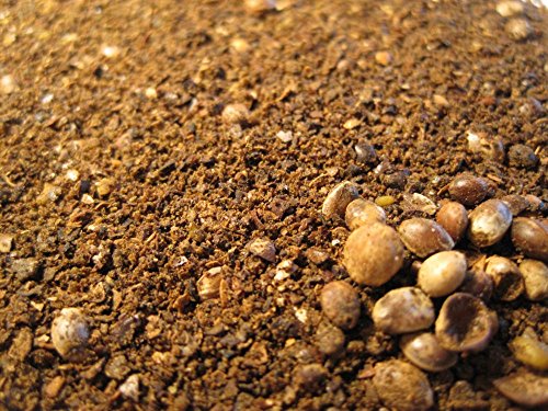 CommonBaits HANFMEHL geröstet 2,5Kg Rösthanf CommonBaits HANFMEHL geröstet 2,5Kg Rösthanf von CommonBaits
