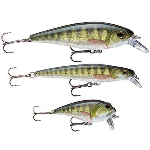 Cormoran Wobbler Set Perch Cormoran Wobbler Set Perch von Cormoran