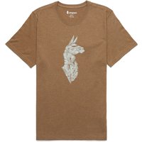 Cotopaxi Herren Into The Pines T-Shirt Cotopaxi Herren Into The Pines T-Shirt von Cotopaxi