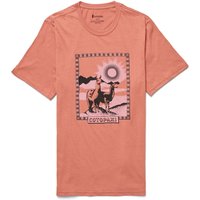 Cotopaxi Herren Llama Greetings Organic T-Shirt von Cotopaxi