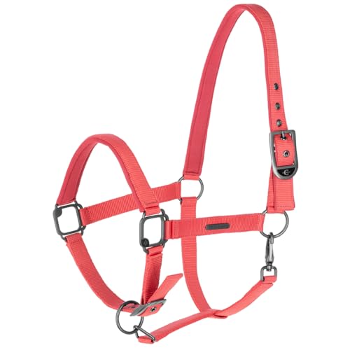 Covalliero Halfter Coral FS 2025, Größe:Full Covalliero Halfter Coral FS 2025, Größe:Full von Covalliero