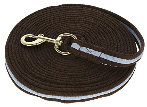 Kerbl Longierleine Softlonge (Farbe braun/hellblau, Länge 8 m, aus weichem Mischgewebe, mit großer Handschlaufe, Pferdezubehör) 3222119 Kerbl Longierleine Softlonge (Farbe braun/hellblau, Länge 8 m, aus weichem Mischgewebe, mit großer Handschlaufe, Pferdezubehör) 3222119 von Covalliero