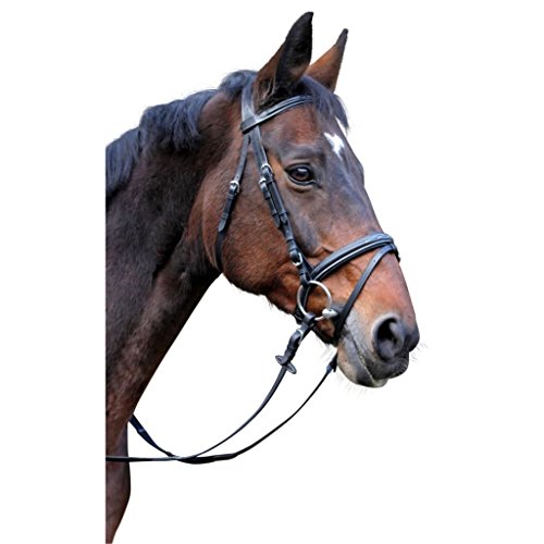 Covalliero Kerbl 326137 Trensenzaum Classic Leder, Schwarz, Pony Covalliero Kerbl 326137 Trensenzaum Classic Leder, Schwarz, Pony von Covalliero
