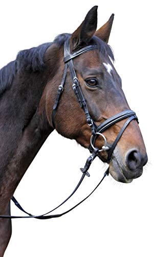 Covalliero Kerbl 326139 Trensenzaum Classic Leder, Schwarz, Full Covalliero Kerbl 326139 Trensenzaum Classic Leder, Schwarz, Full von Covalliero