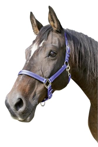 Kerbl Halfter Mustang 2-Fach verstellbar, Blau/Schwarz, 3, 321972 Kerbl Halfter Mustang 2-Fach verstellbar, Blau/Schwarz, 3, 321972 von Covalliero